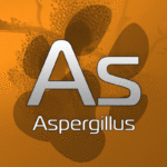 Aspergillus