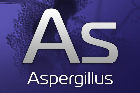 Vet Aspergillus Diagnostic Tests