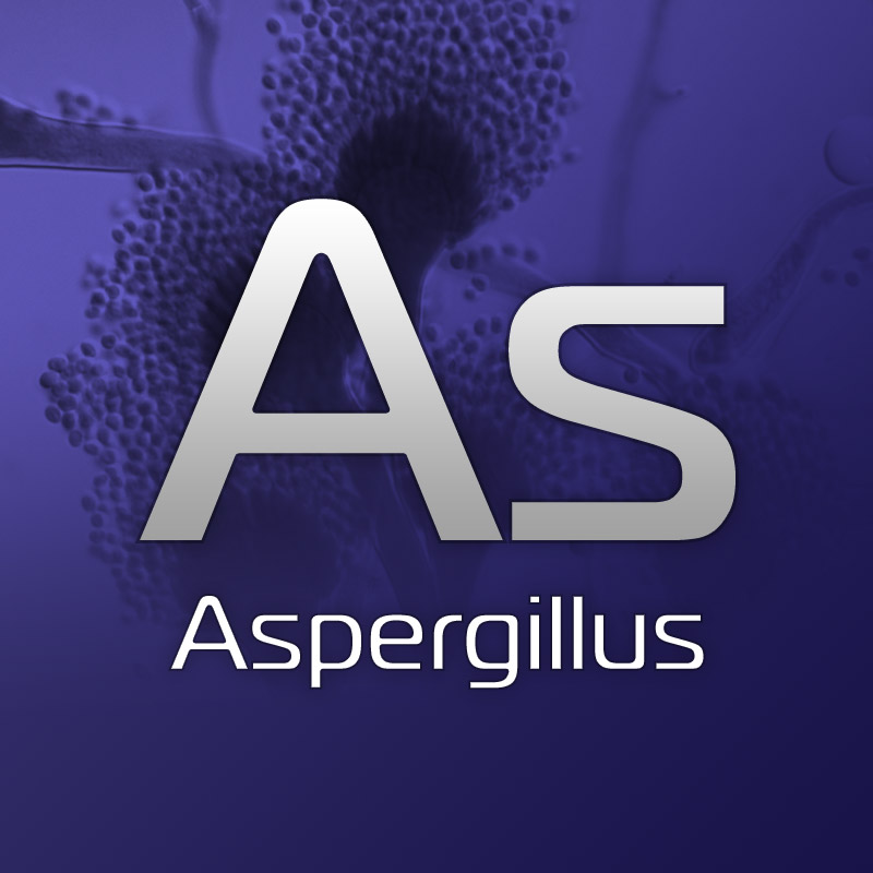 Vet Aspergillus Diagnostic Tests