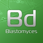 Vet Blastomyces Diagnostic Tests