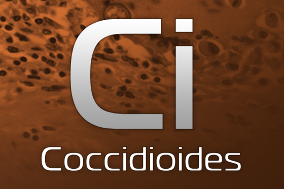 Vet Coccidioides Diagnostic Tests