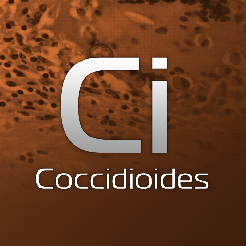 Vet Coccidioides Diagnostic Tests