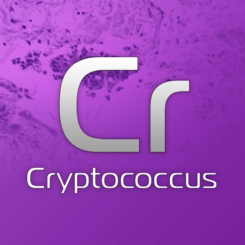 Vet Cryptococcus Diagnostic Tests