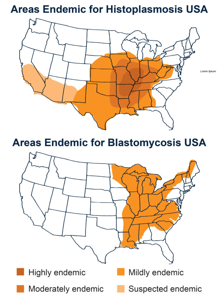 Distinguish Histoplasmosis From Blastomycosis With Antibody Testing   Endemic Histo Vs Blasto Maps R1.1 768x1024 