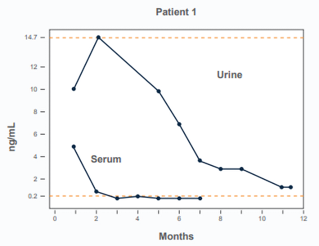 A graph monitoring Patient 1's serum & urine over 12 months