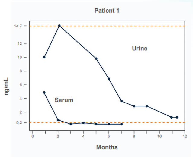 A graph showcasing Patient 1's serum & urine trends over 12 months