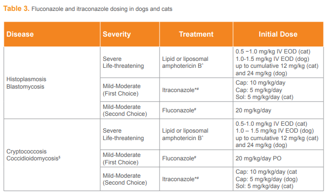 Fluconazole and itraconazole dosing in dogs and cats