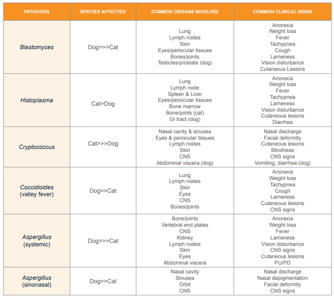 pathogen-chart-signs-of-invasive-fungal-infections