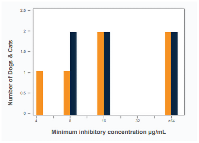A graph showing minimum inhibitory concentrations of Histoplasma isolates to fluconazole collected from dogs (orange) and cats (blue) with histoplasmosis.