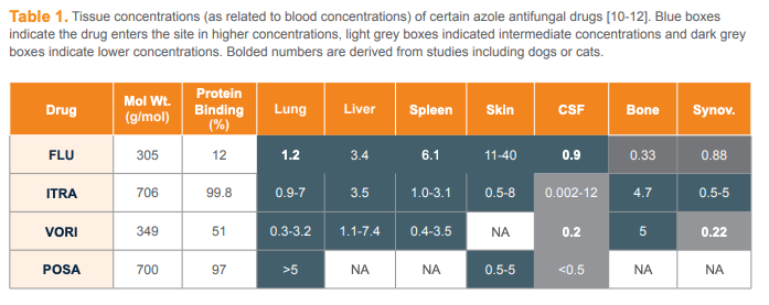 Tissue concentrations (as related to blood concentrations) of certain azole antifungal drugs