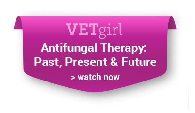 VETGirl: Antifungal Therapy: Past, Present, and Future. >> watch now